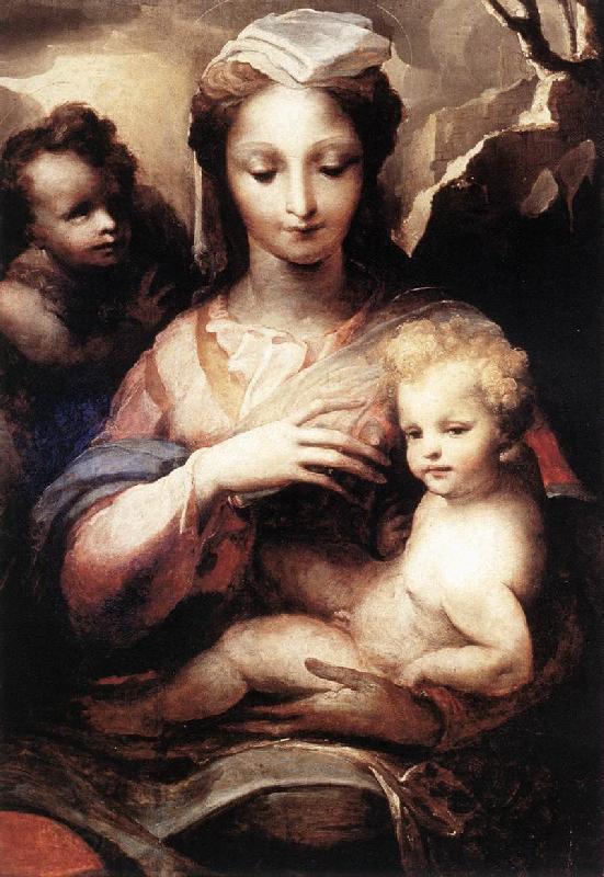 BECCAFUMI, Domenico Madonna with the Infant Christ and St John the Baptist  gfgf China oil painting art